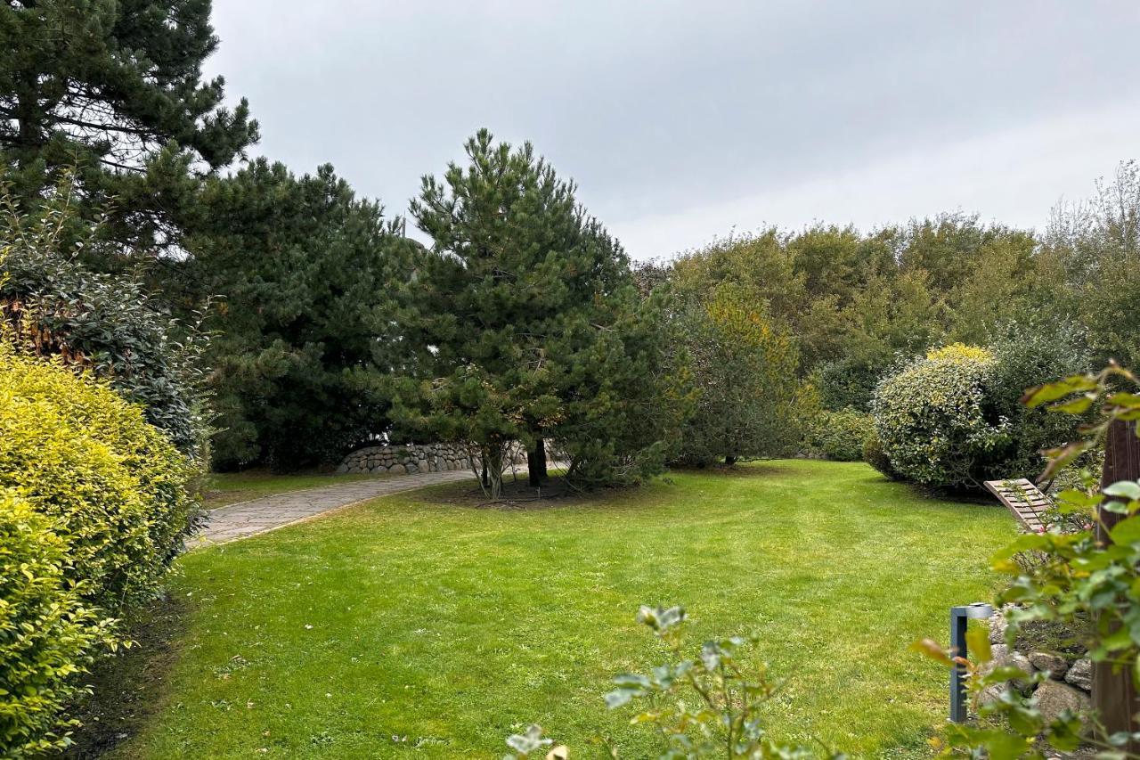 Ameland Reethus In *